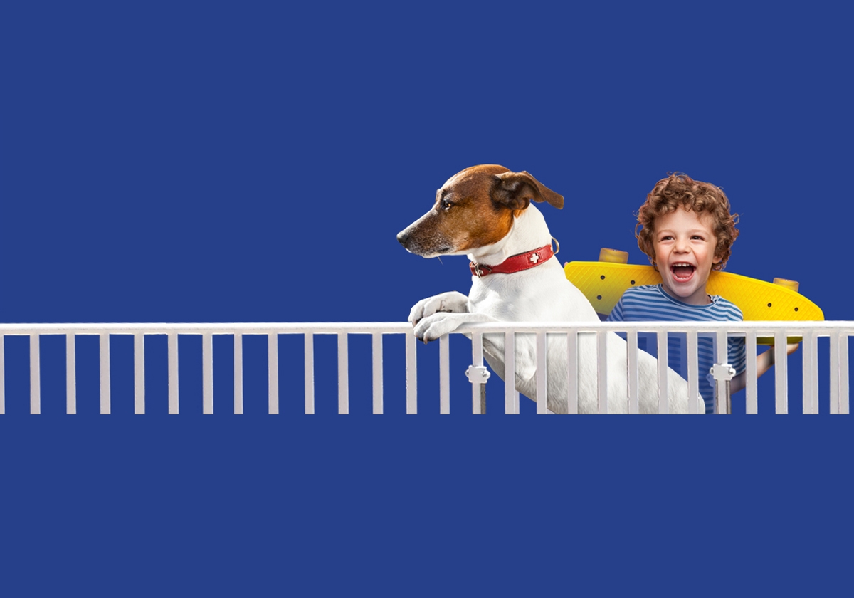 20% ΕΚΠΤΩΣΗ στα κάγκελα PROTEX έως τις 23 Ιανουαρίου!