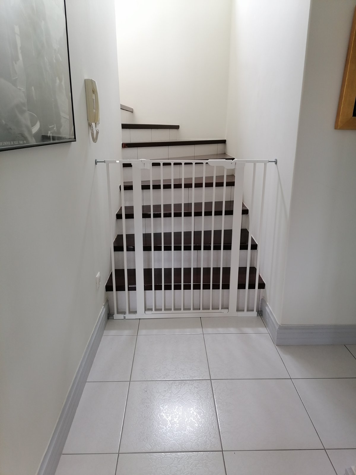 Πορτάκια ασφαλείας Protex